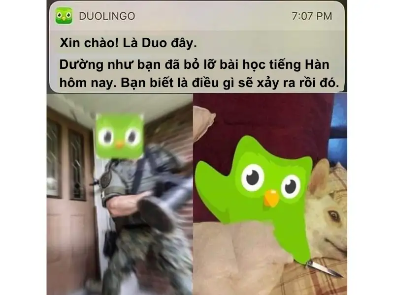 Duolingo meme 12