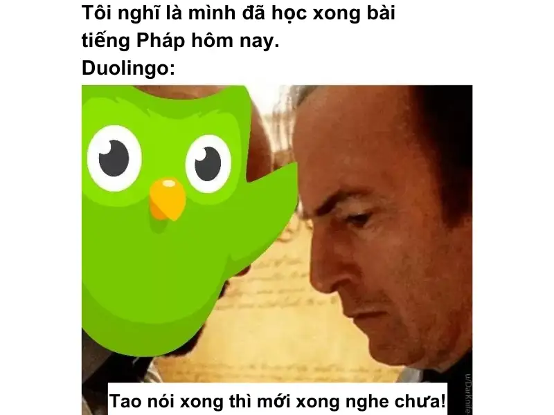 Duolingo meme 16