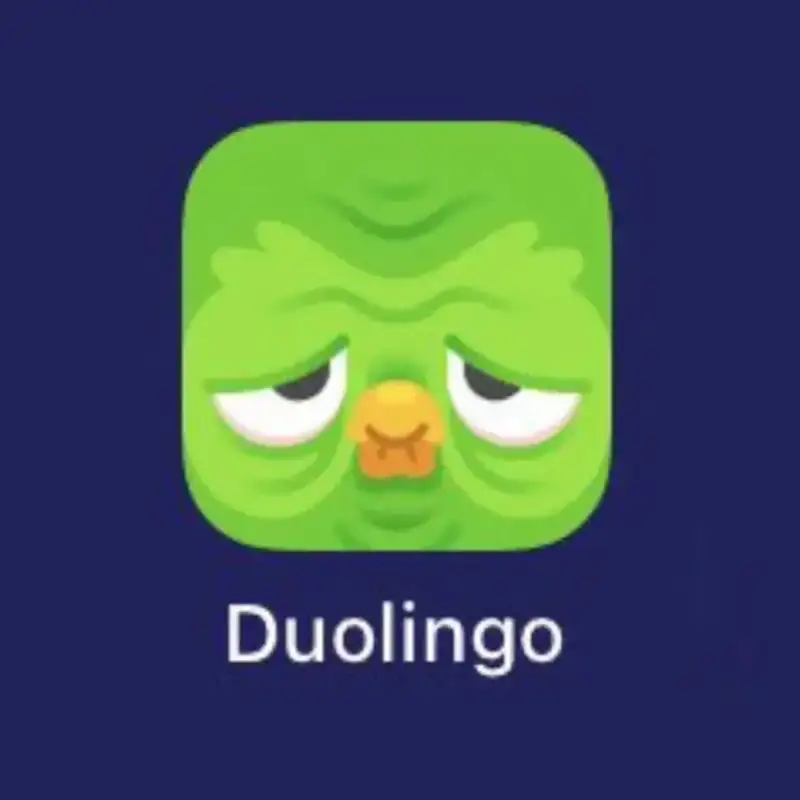 Duolingo meme 23