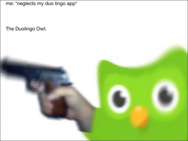 Duolingo meme 30