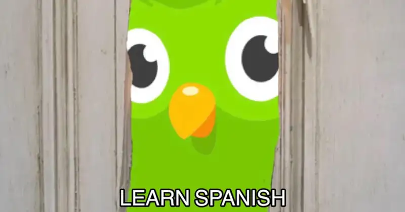 Duolingo meme 46