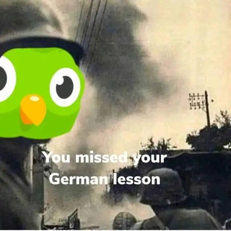 Duolingo meme 47