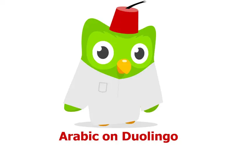 Duolingo meme 53