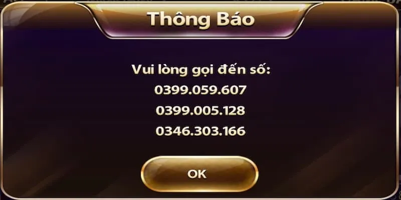 Hỗ trợ siêu tốc thông qua hotline