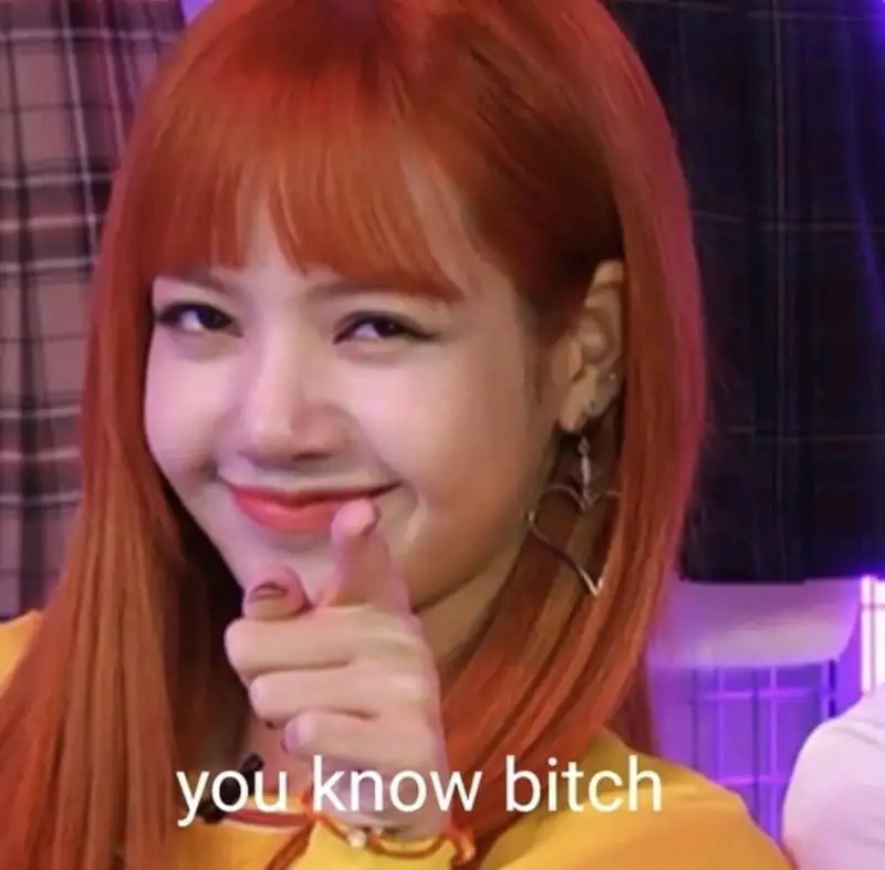 Meme Blackpink 27