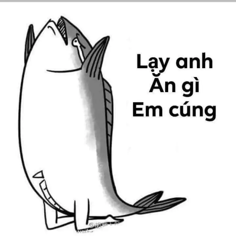 Meme lạy 17