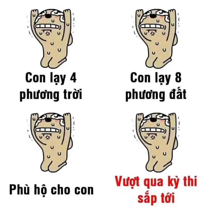 Meme lạy 31