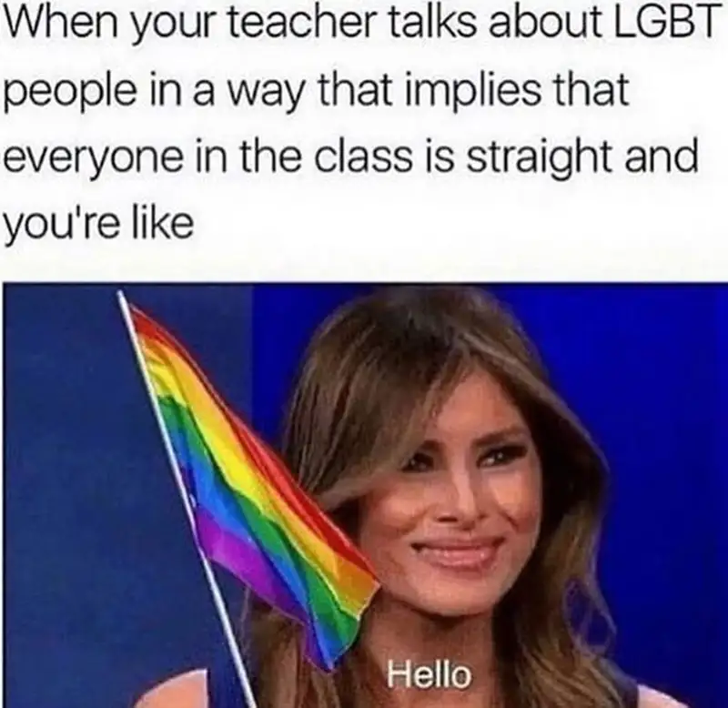 Meme LGBT 38