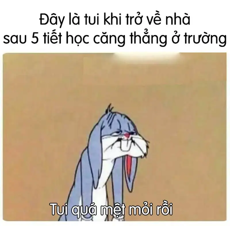 Meme mệt mỏi 23