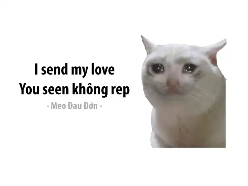 Meme mệt mỏi 32