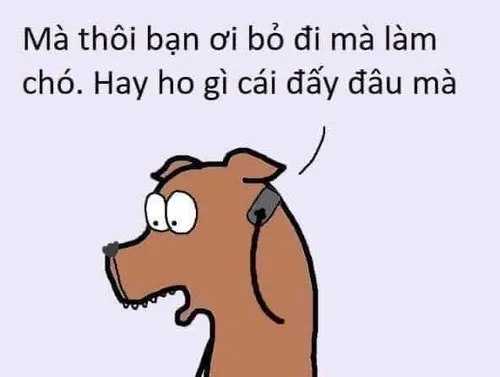 meme từ chối 41