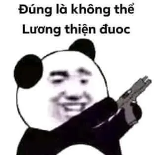 meme từ chối 48