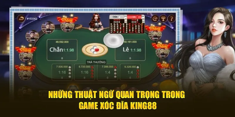 Những thuật ngữ quan trọng trong game Xóc Đĩa King88 