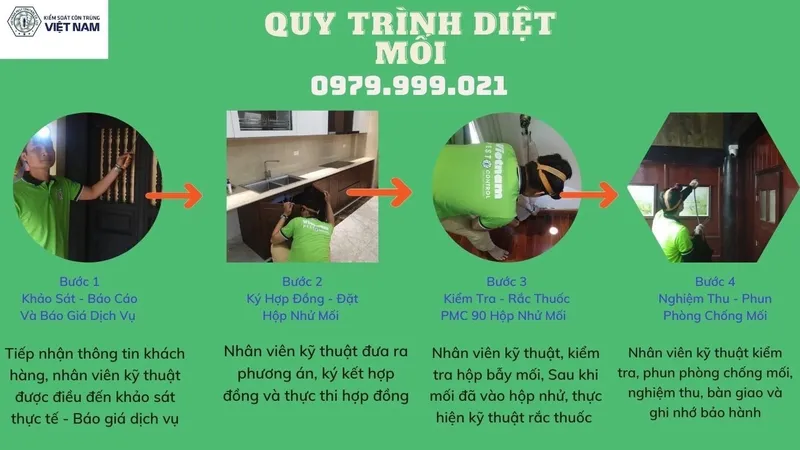 Dịch vụ phòng chống mối công trình chuyên nghiệp