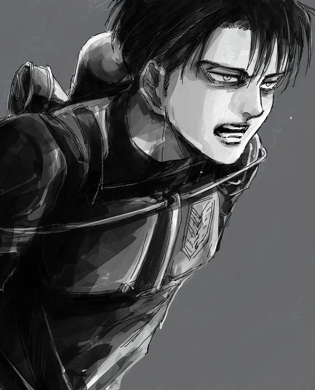 ảnh Levi Ackerman 6