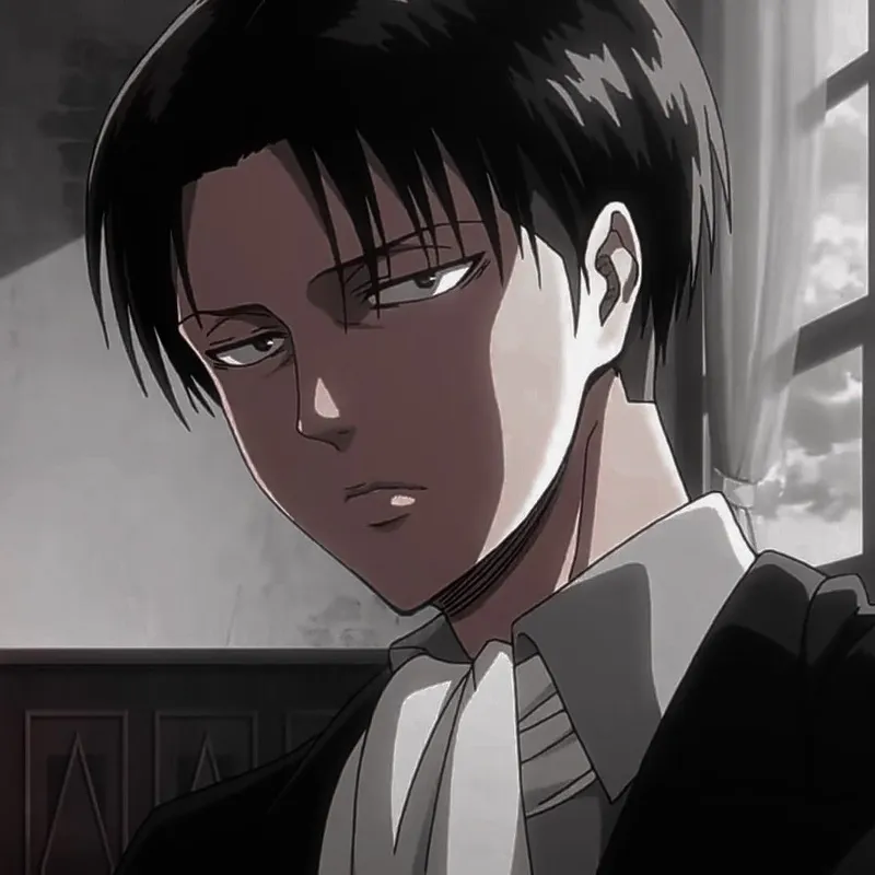 ảnh Levi Ackerman 11