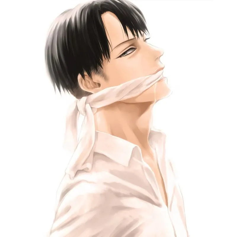 ảnh Levi Ackerman 21