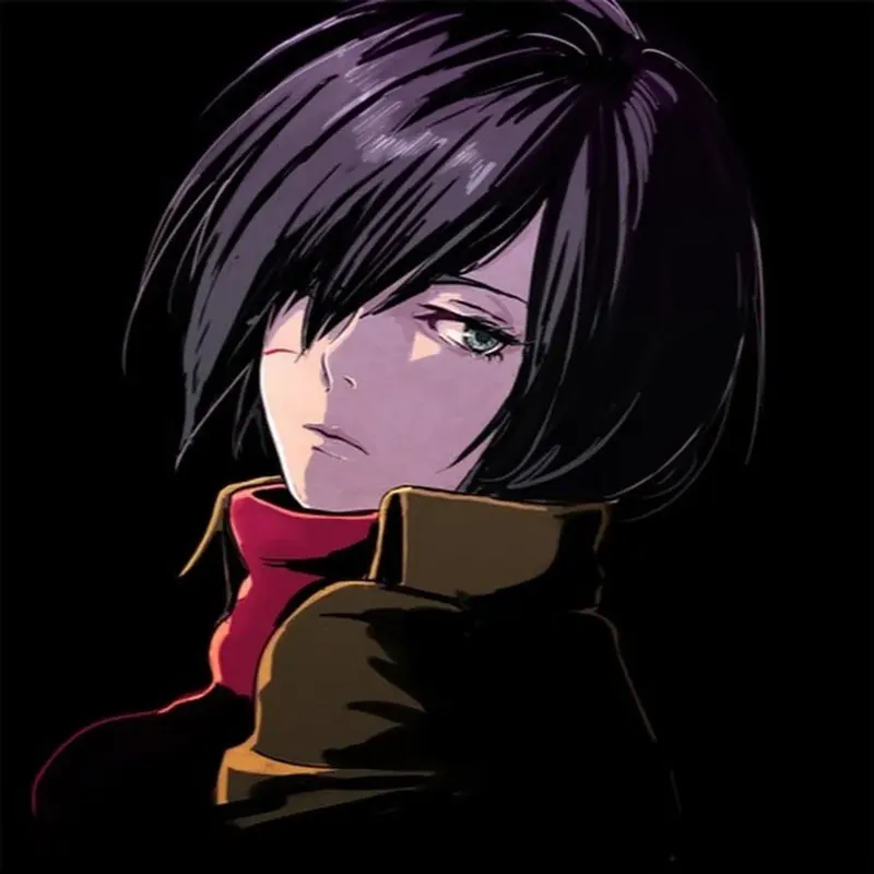 ảnh Mikasa Ackerman 6