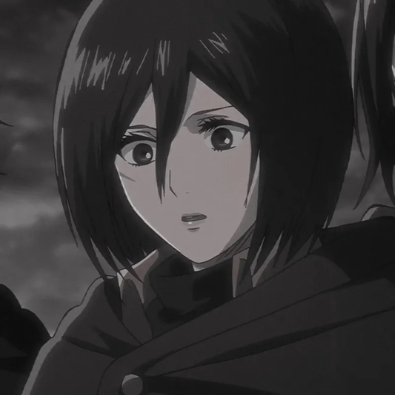 ảnh Mikasa Ackerman 8