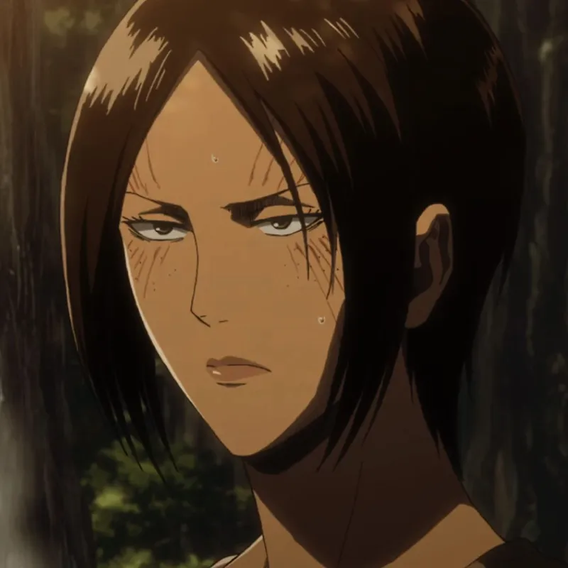 ảnh Ymir 10