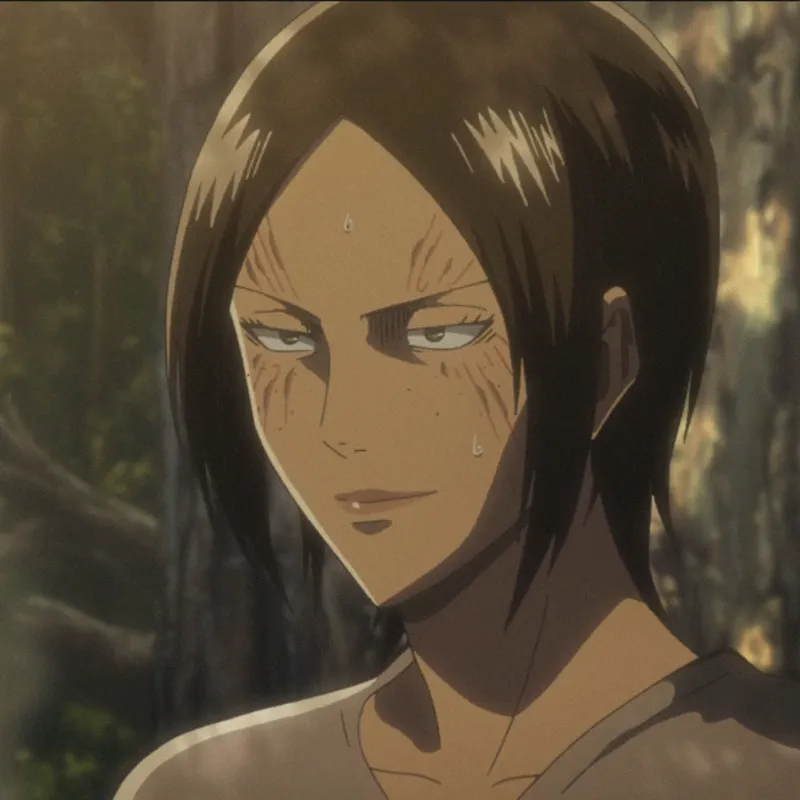 ảnh Ymir 13