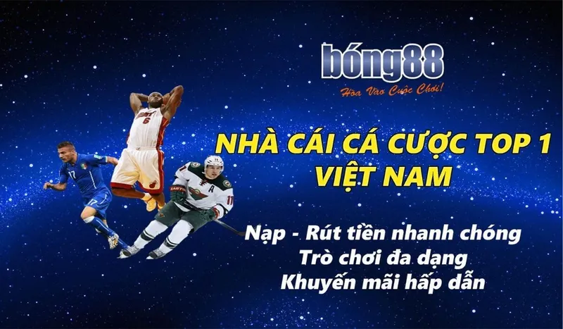 Khuyến mãi và ưu đãi hấp dẫn