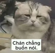 buồn meme 35