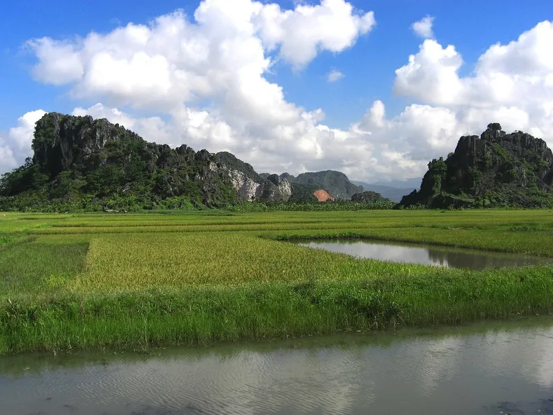 Vẻ đẹp giản dị của đồng quê Việt Nam là lựa chọn hoàn hảo cho màn hình của bạn.