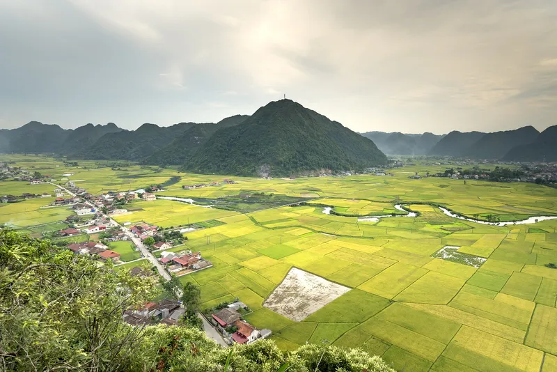 Hình nền cảnh đồng quê Việt Nam, lựa chọn lý tưởng cho những ai yêu thiên nhiên.