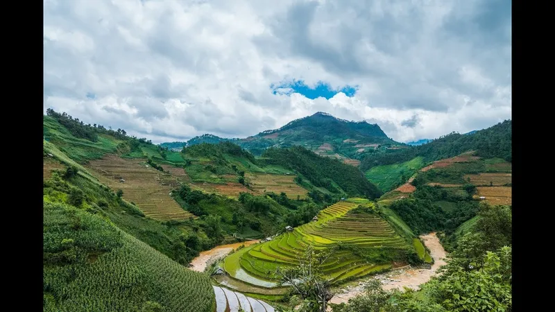 Đưa đồng quê Việt Nam vào không gian sống qua những hình nền tuyệt đẹp.