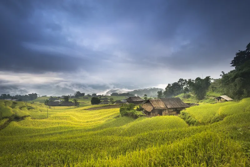 Gần gũi thiên nhiên với những hình nền đồng quê Việt Nam tuyệt đẹp.