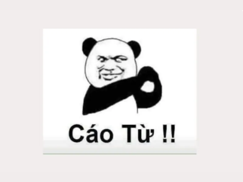 meme nổi tiếng 10