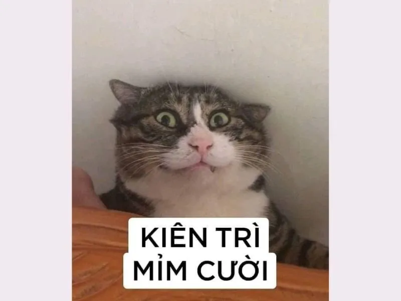 meme nổi tiếng 39