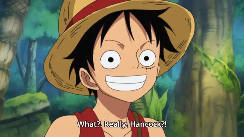 Monkey D. Luffy - 5