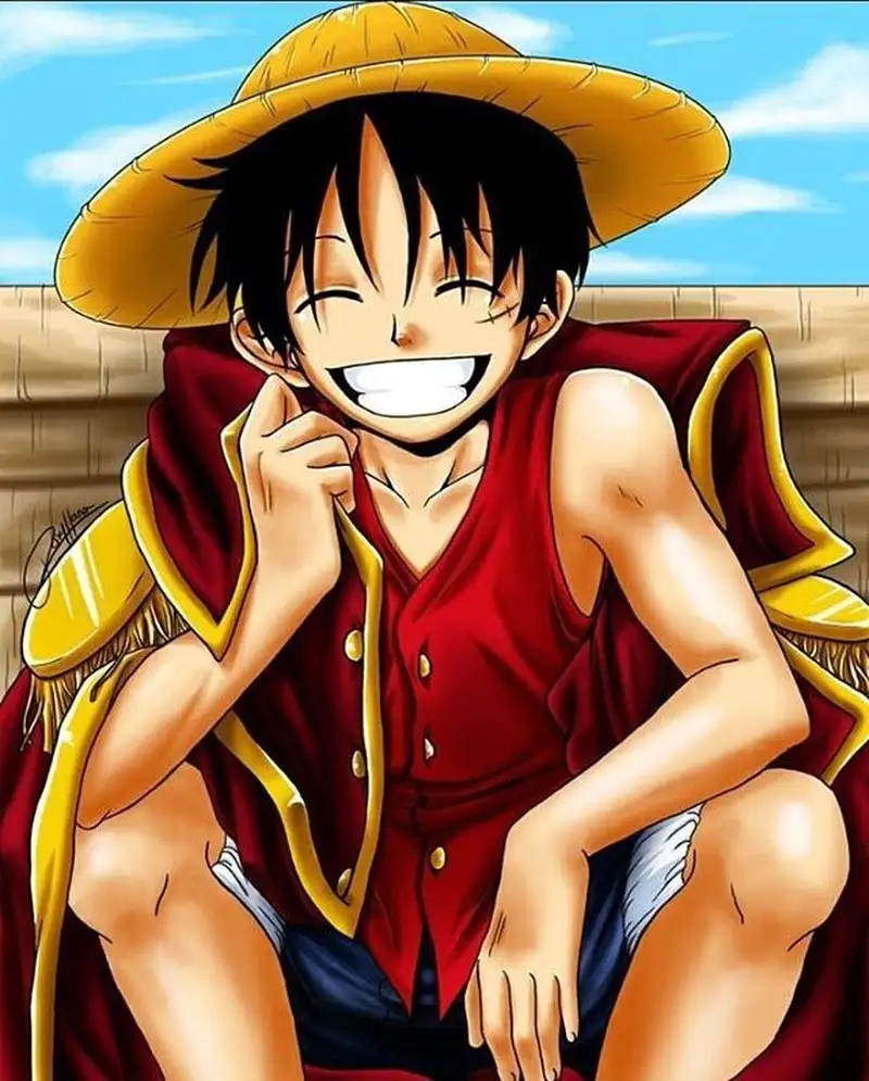 Monkey D. Luffy - 13