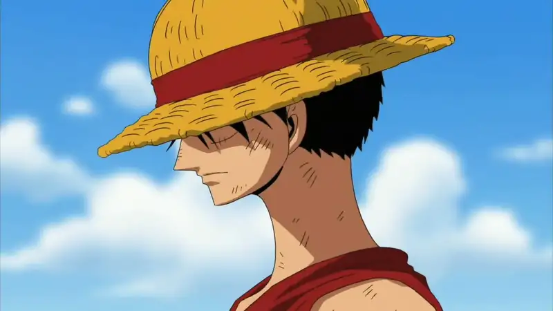 Monkey D. Luffy - 14