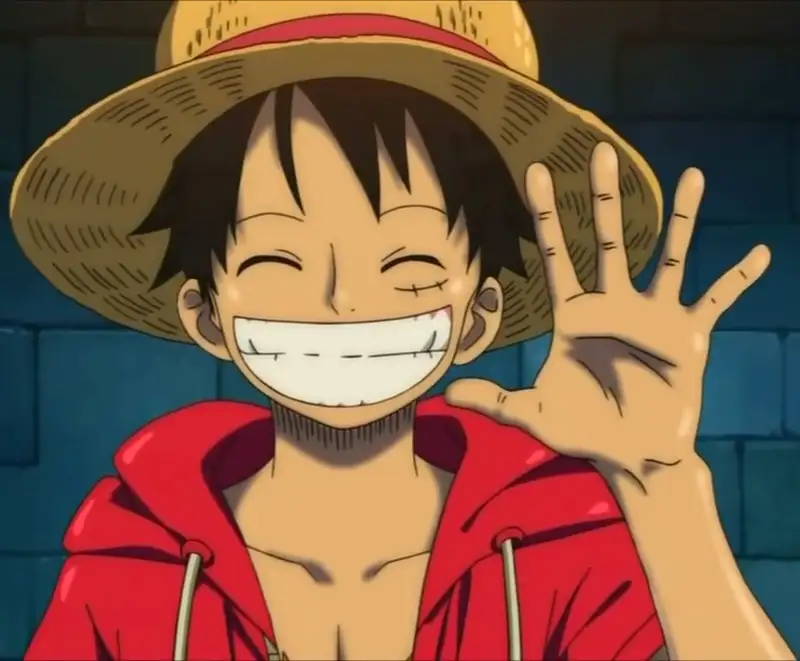 Monkey D. Luffy - 20