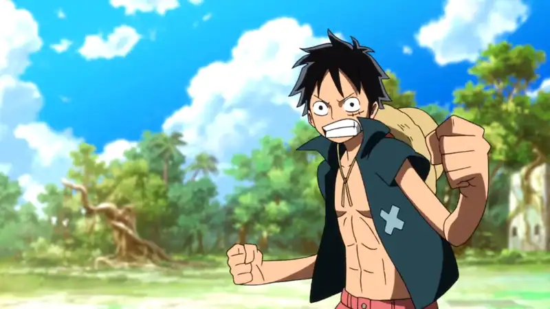 Monkey D. Luffy - 30