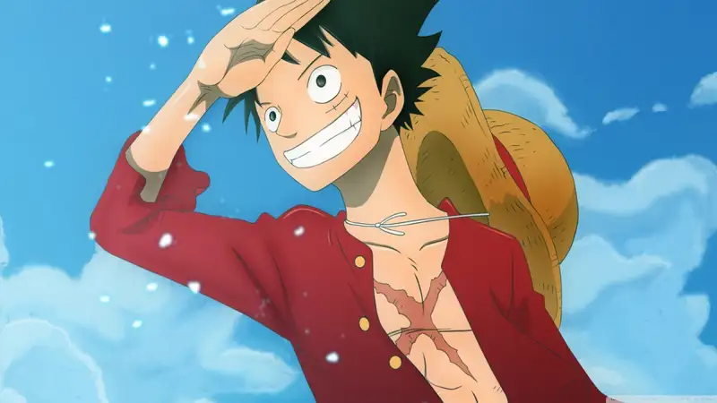 Monkey D. Luffy - 35