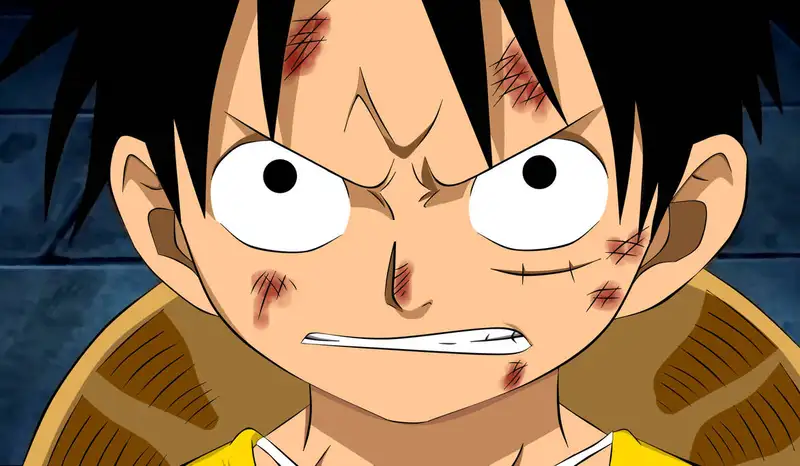 Monkey D. Luffy - 45