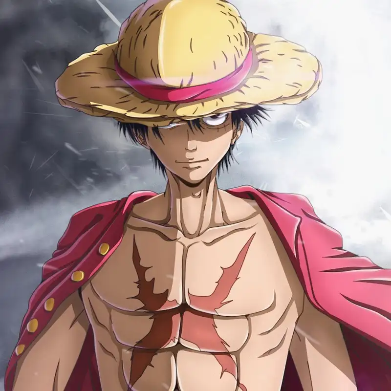 Monkey D. Luffy - 50