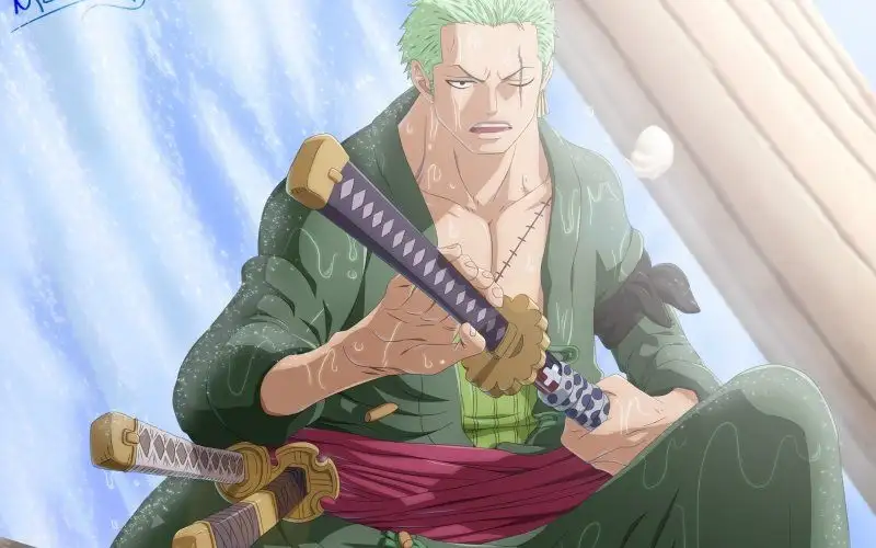 Roronoa Zoro - 34