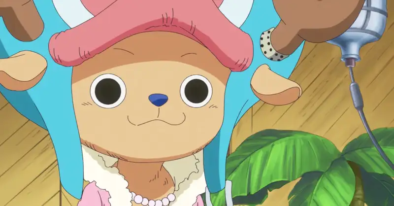 Tony Tony Chopper - 13