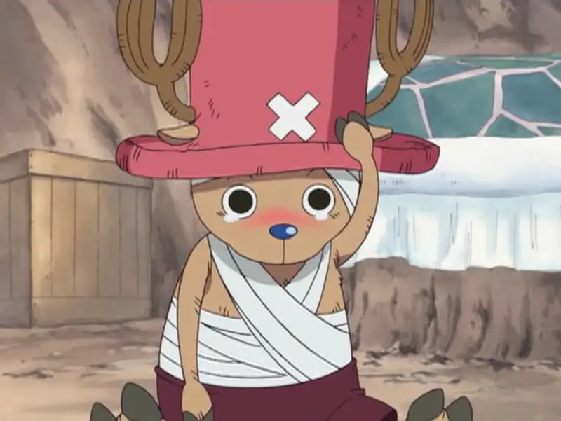 Tony Tony Chopper - 23