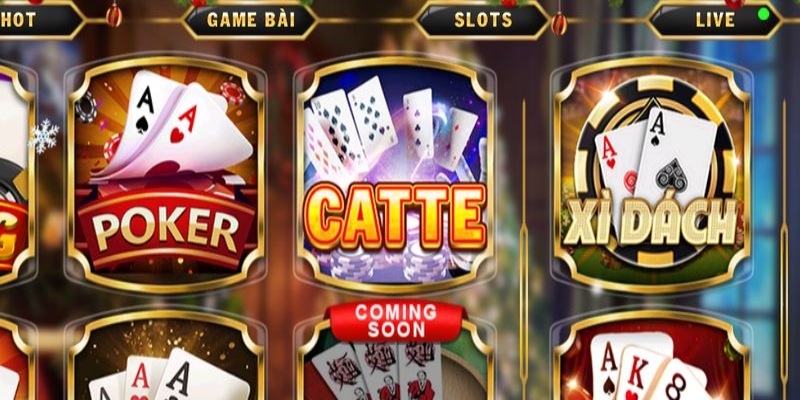 Tổng hợp thông tin về game bài catte