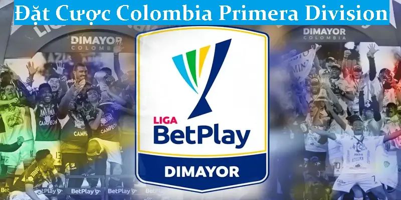 Tổng quan về đặt cược Colombia Primera Division